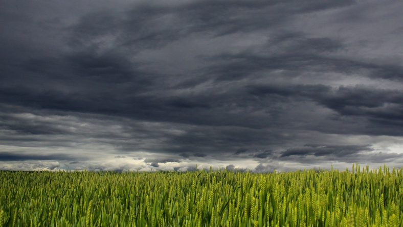 Que las tormentas no agobien tus cultivos